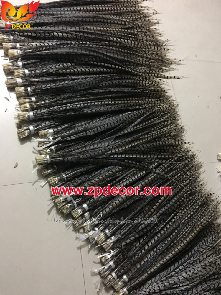Zpdecor Feathers Factory Wholesale 90-100cm Natural Lady amherst tail pheasant feather