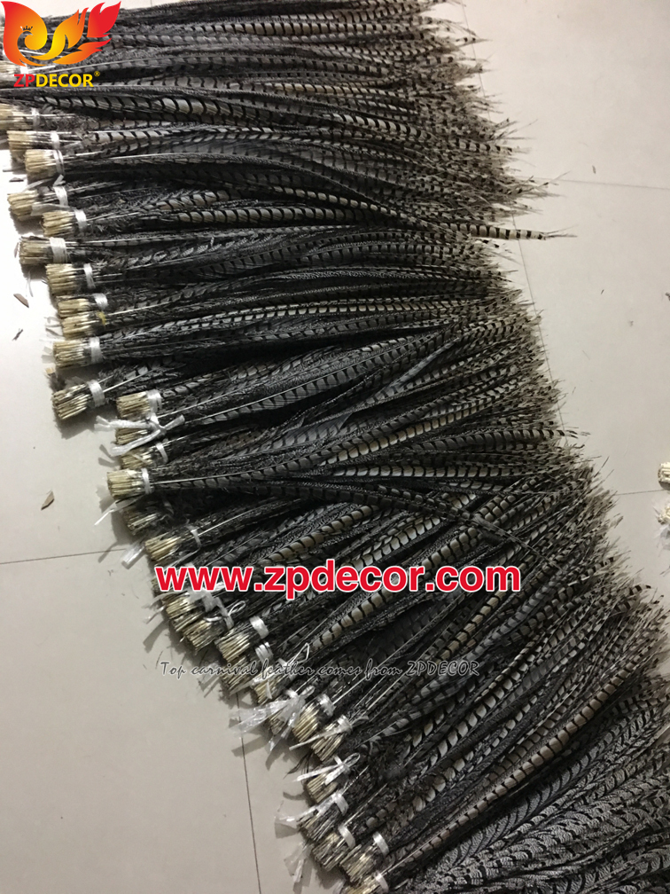 Zpdecor Feathers Factory Wholesale 90-100cm Natural Lady amherst tail pheasant feather