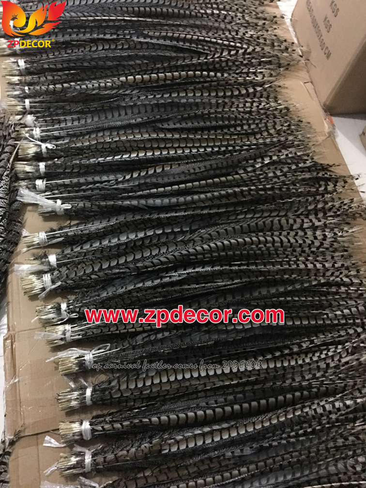 Zpdecor Feathers Factory Wholesale 90-100cm Natural Lady amherst tail pheasant feather
