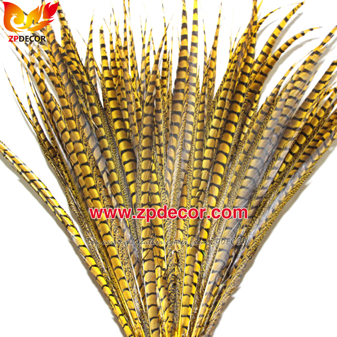 Zpdecor Feathers Factory Wholesale Dyed Lady amherst tail pheasant feather