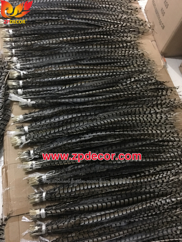 Zpdecor Feathers Factory Wholesale 90-100cm Natural Lady amherst tail pheasant feather