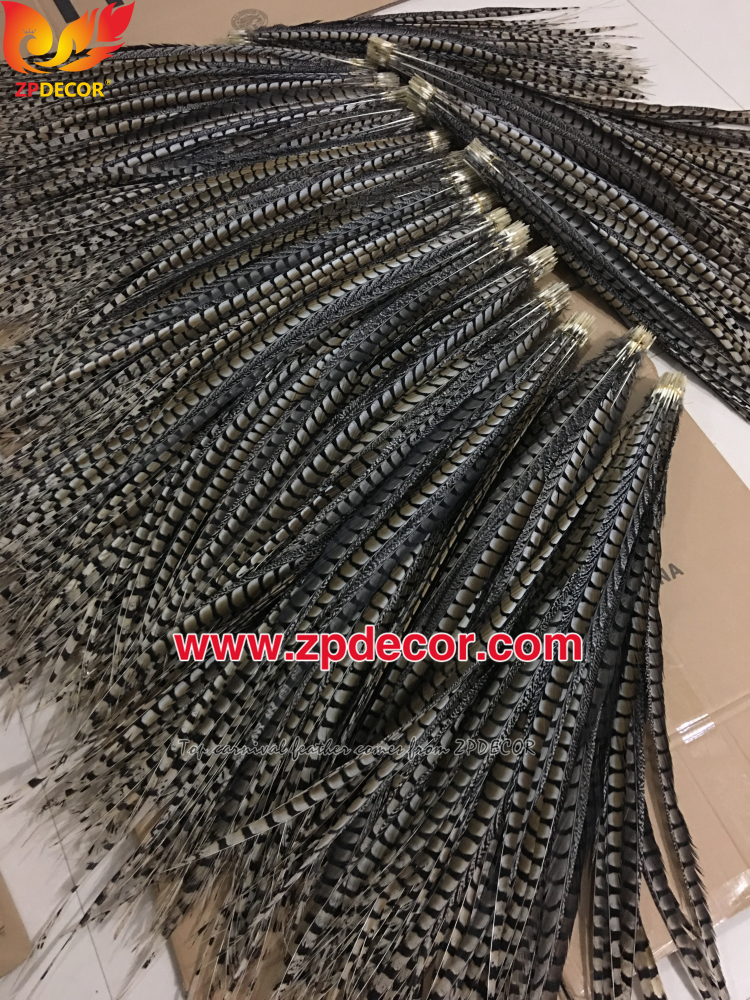 Zpdecor Feathers Factory Wholesale 90-100cm Natural Lady amherst tail pheasant feather