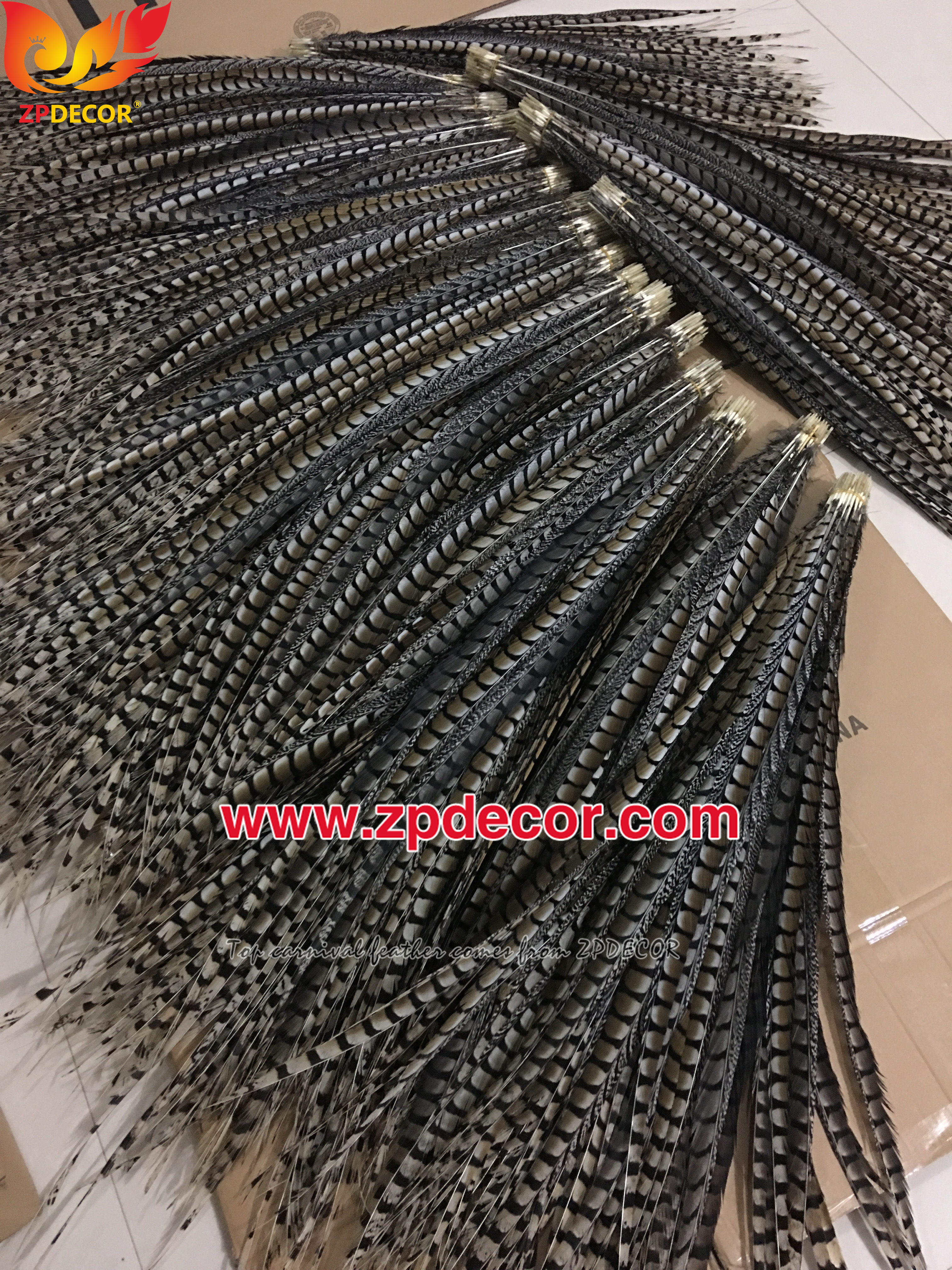 Zpdecor Feathers Factory Wholesale 90-100cm Natural Lady amherst tail pheasant feather
