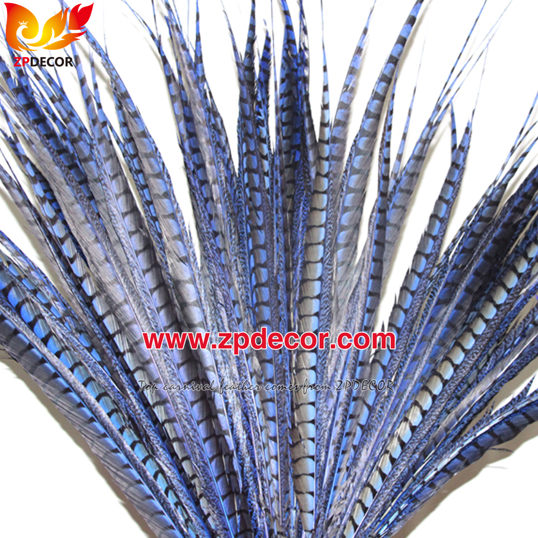 Zpdecor Feathers Factory Wholesale Dyed Lady amherst tail pheasant feather