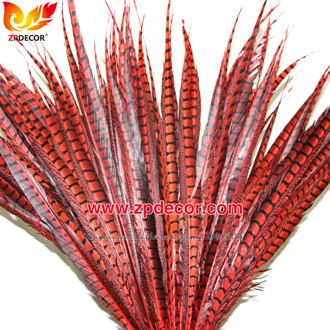 Zpdecor Feathers Factory Wholesale Dyed Lady amherst tail pheasant feather