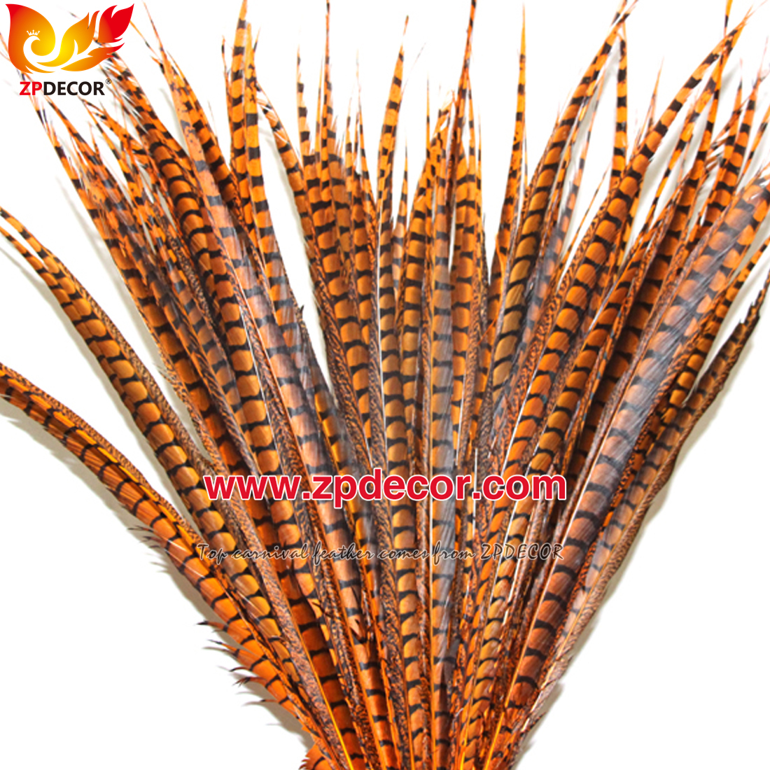 Zpdecor Feathers Factory Wholesale Dyed Lady amherst tail pheasant feather