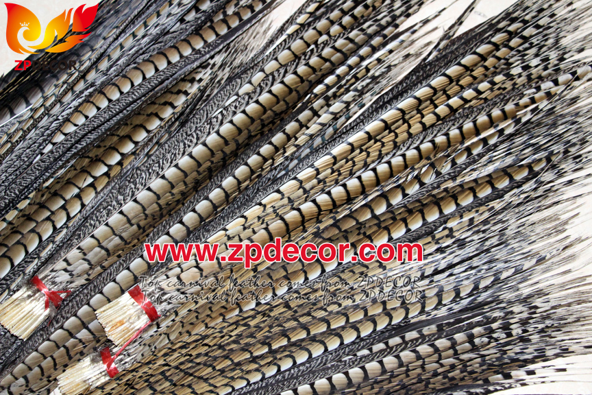 Zpdecor Feathers Factory Wholesale 70-80 cm Natural Lady amherst tail pheasant feather