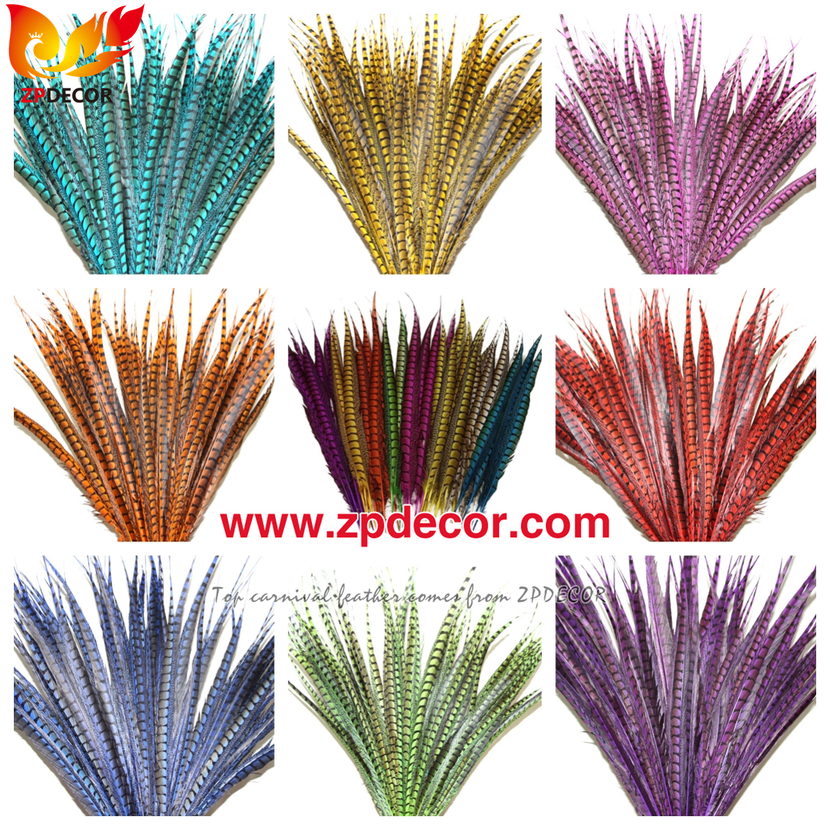 Zpdecor Feathers Factory Wholesale Dyed Lady amherst tail pheasant feather