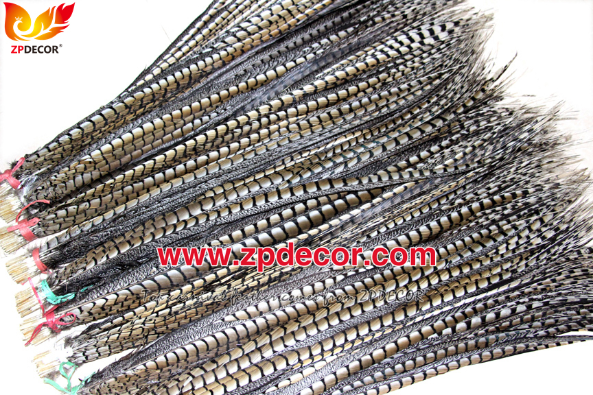 Zpdecor Feathers Factory Wholesale Natural Lady amherst tail pheasant feather