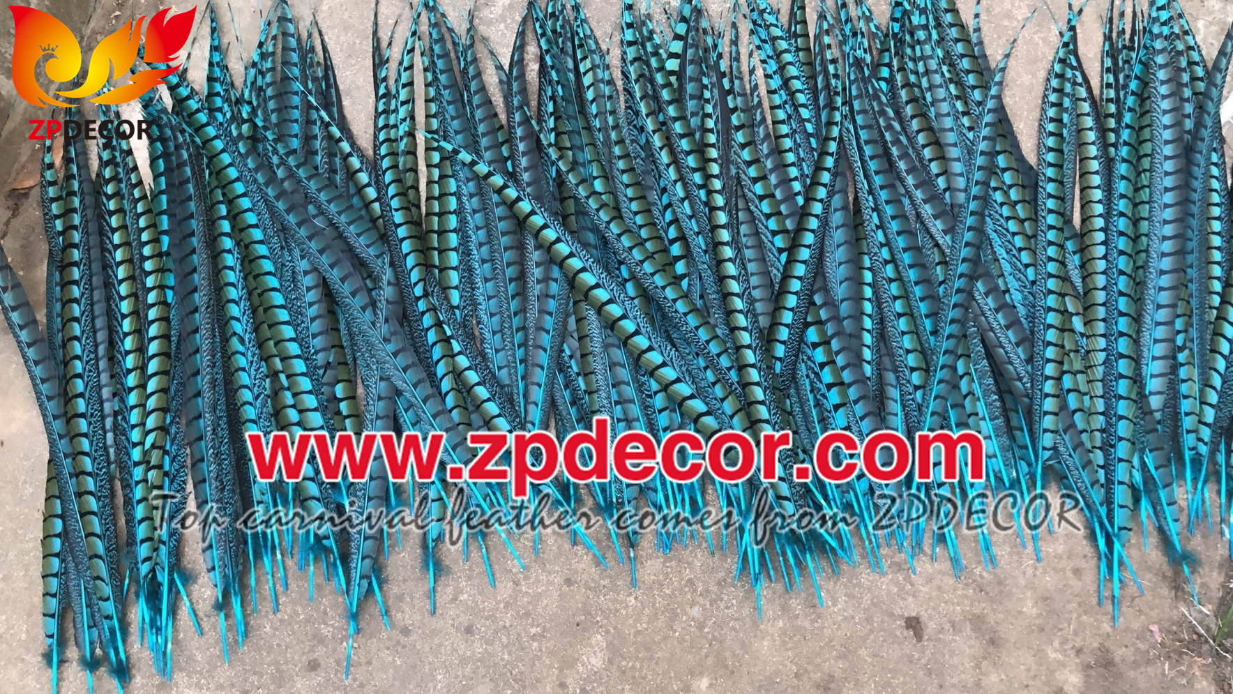 Zpdecor Feathers Factory Wholesale Natural Lady amherst tail pheasant feather