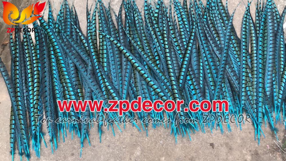 Zpdecor Feathers Factory Wholesale Natural Lady amherst tail pheasant feather
