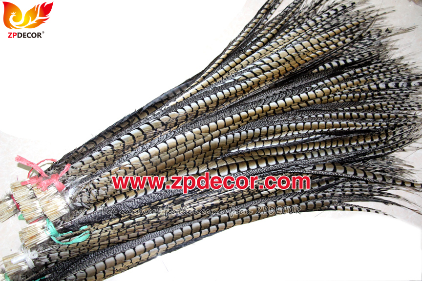 Zpdecor Feathers Factory Wholesale Natural Lady amherst tail pheasant feather