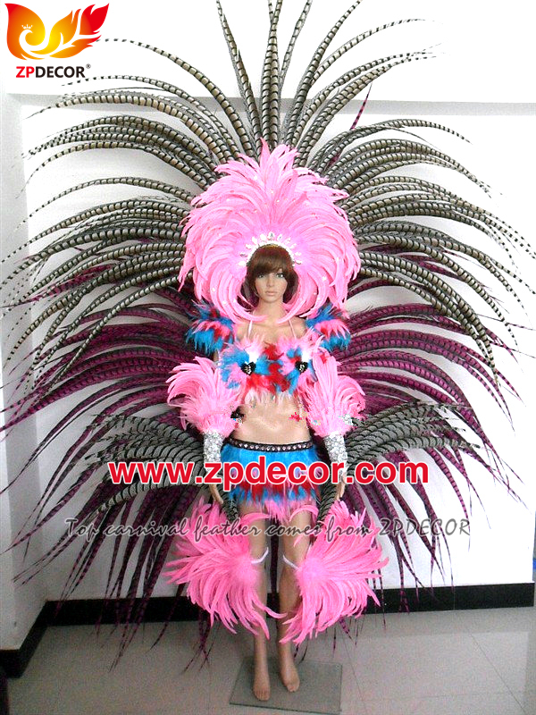 Zpdecor Feathers Factory Wholesale Natural Lady amherst tail pheasant feather