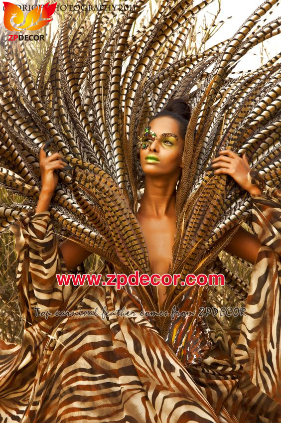 Zpdecor Feathers Factory Wholesale Natural Lady amherst tail pheasant feather