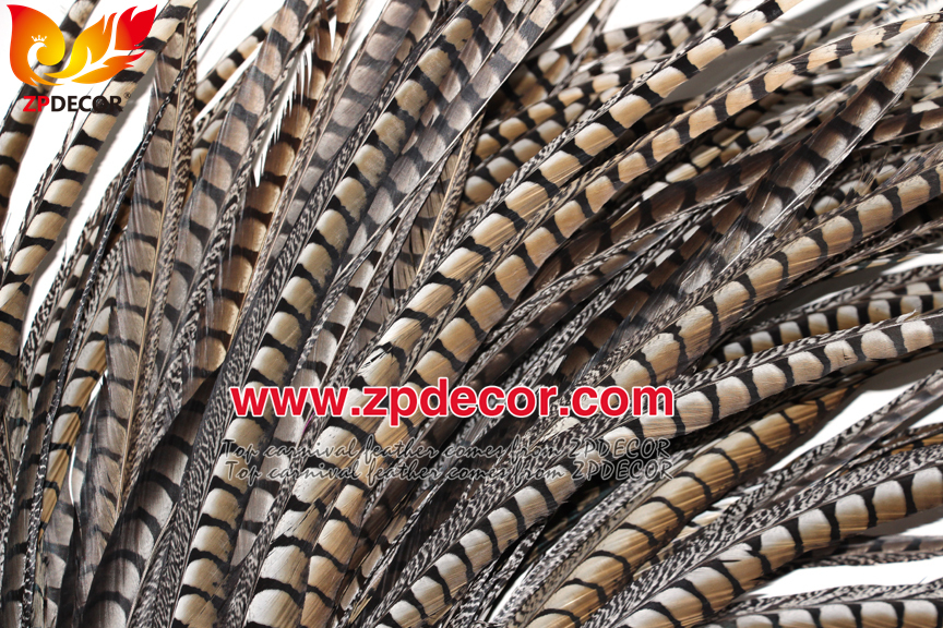 Zpdecor Feathers Factory Wholesale 80-90 cm Natural Lady amherst tail pheasant feather