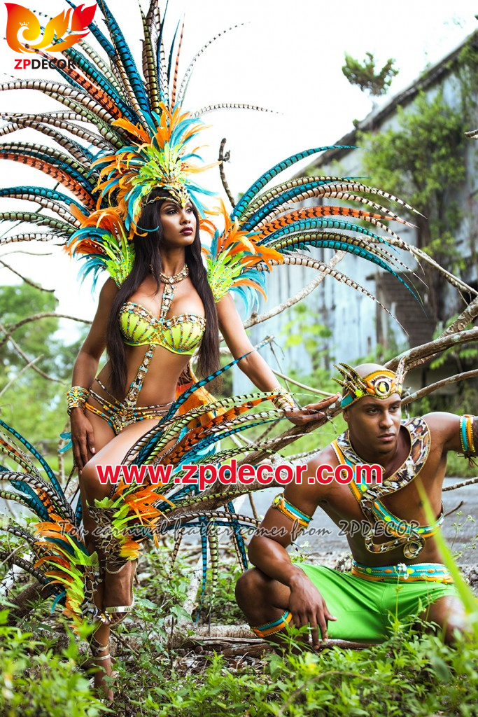 Zpdecor Feathers Factory Wholesale Natural Lady amherst tail