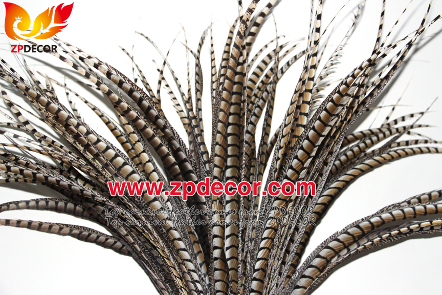 Zpdecor Feathers Factory Wholesale 80-90 cm Natural Lady amherst tail pheasant feather
