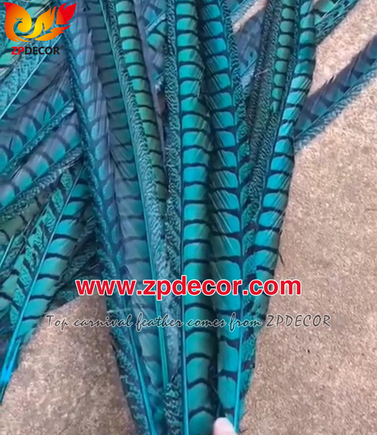 Zpdecor Feathers Factory Wholesale Natural Lady amherst tail pheasant feather