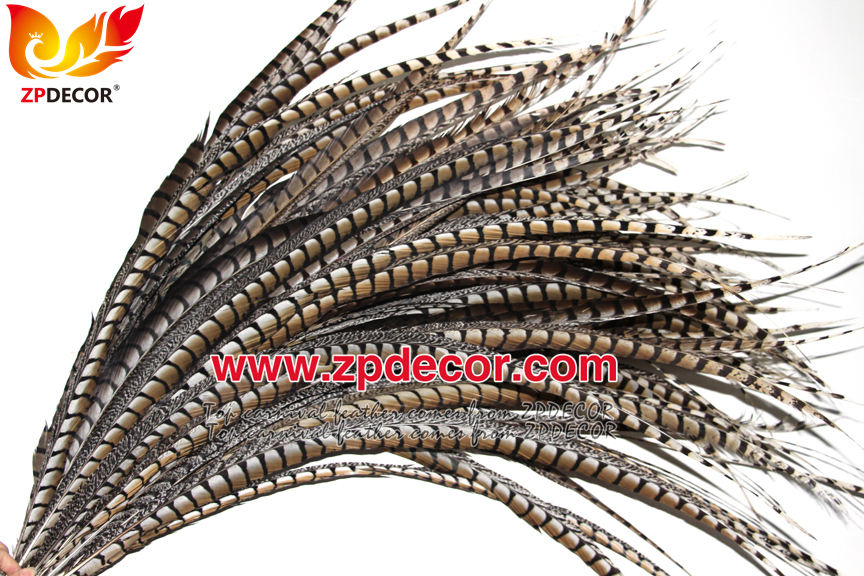 Zpdecor Feathers Factory Wholesale 80-90 cm Natural Lady amherst tail pheasant feather