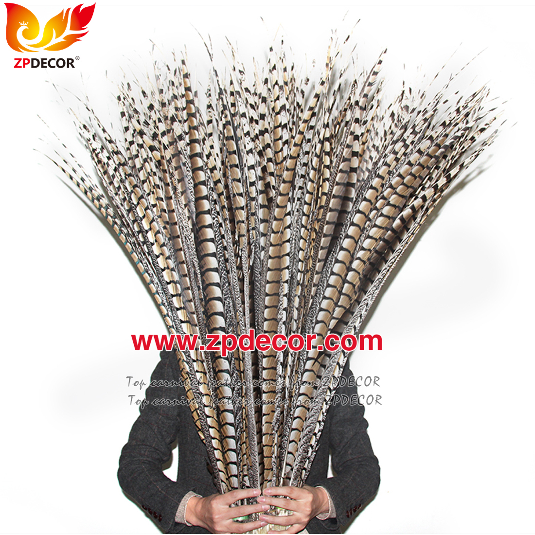 Zpdecor Feathers Factory Wholesale 70-80 cm Natural Lady amherst tail pheasant feather