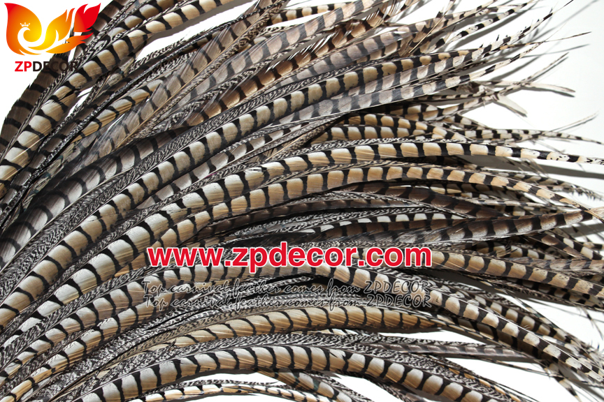Zpdecor Feathers Factory Wholesale 80-90 cm Natural Lady amherst tail pheasant feather