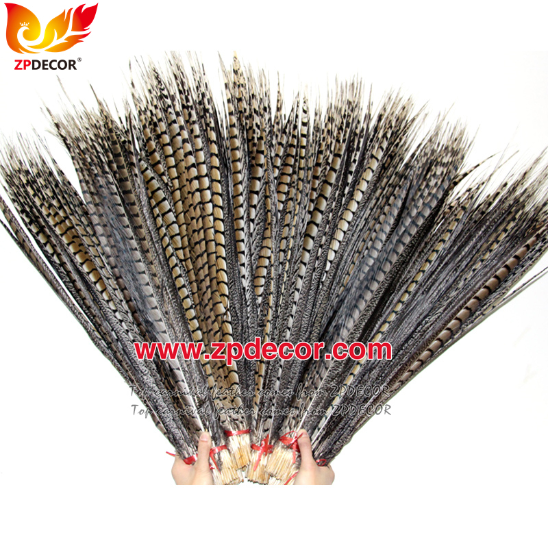 Zpdecor Feathers Factory Wholesale 50-60cm cm Natural Lady amherst tail pheasant feather