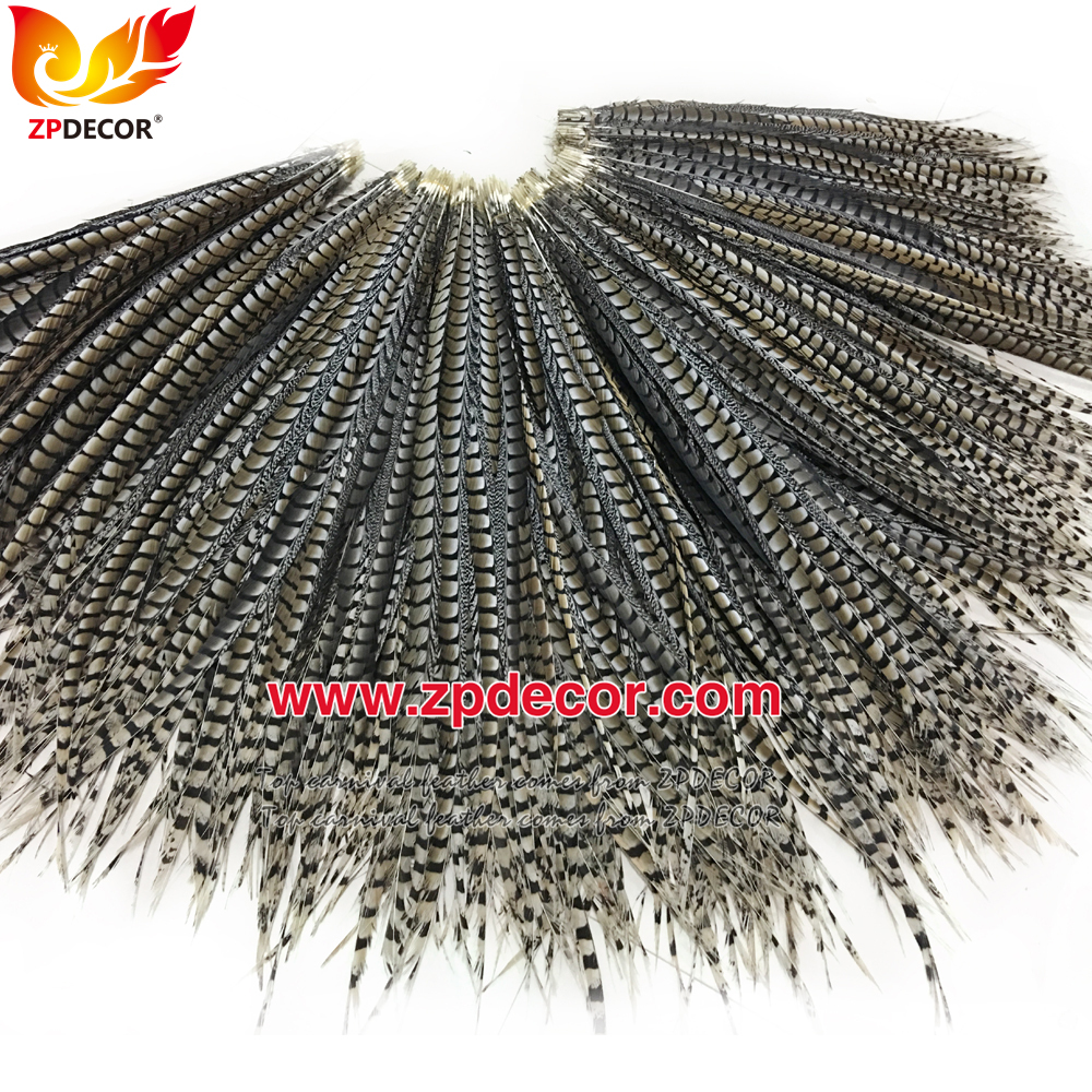 Zpdecor Feathers Factory Wholesale 90-100cm Natural Lady amherst tail pheasant feather