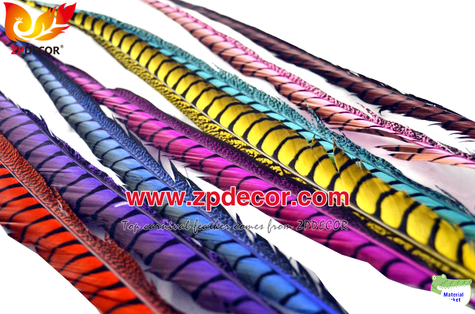 Zpdecor Feathers Factory Wholesale Dyed Lady amherst tail pheasant feather