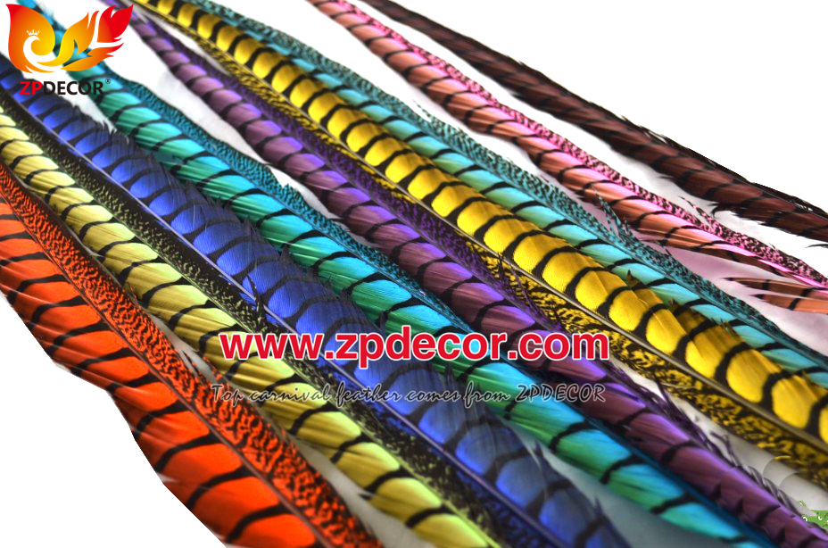 Zpdecor Feathers Factory Wholesale Dyed Lady amherst tail pheasant feather