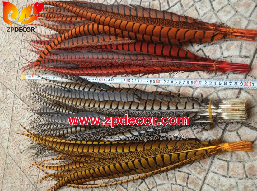 Zpdecor Feathers Factory Wholesale Dyed Lady amherst tail pheasant feather