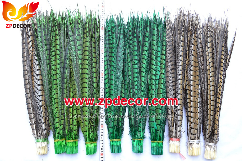 Zpdecor Feathers Factory Wholesale Dyed Lady amherst tail pheasant feather
