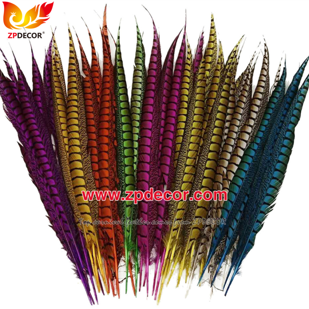 Zpdecor Feathers Factory Wholesale Dyed Lady amherst tail pheasant feather