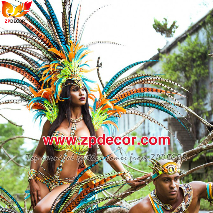 Zpdecor Feathers Factory Wholesale Natural Lady amherst tail pheasant feather