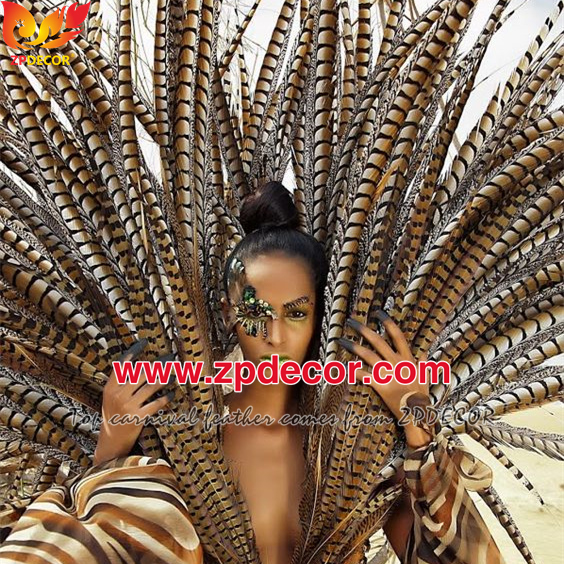Zpdecor Feathers Factory Wholesale Natural Lady amherst tail pheasant feather