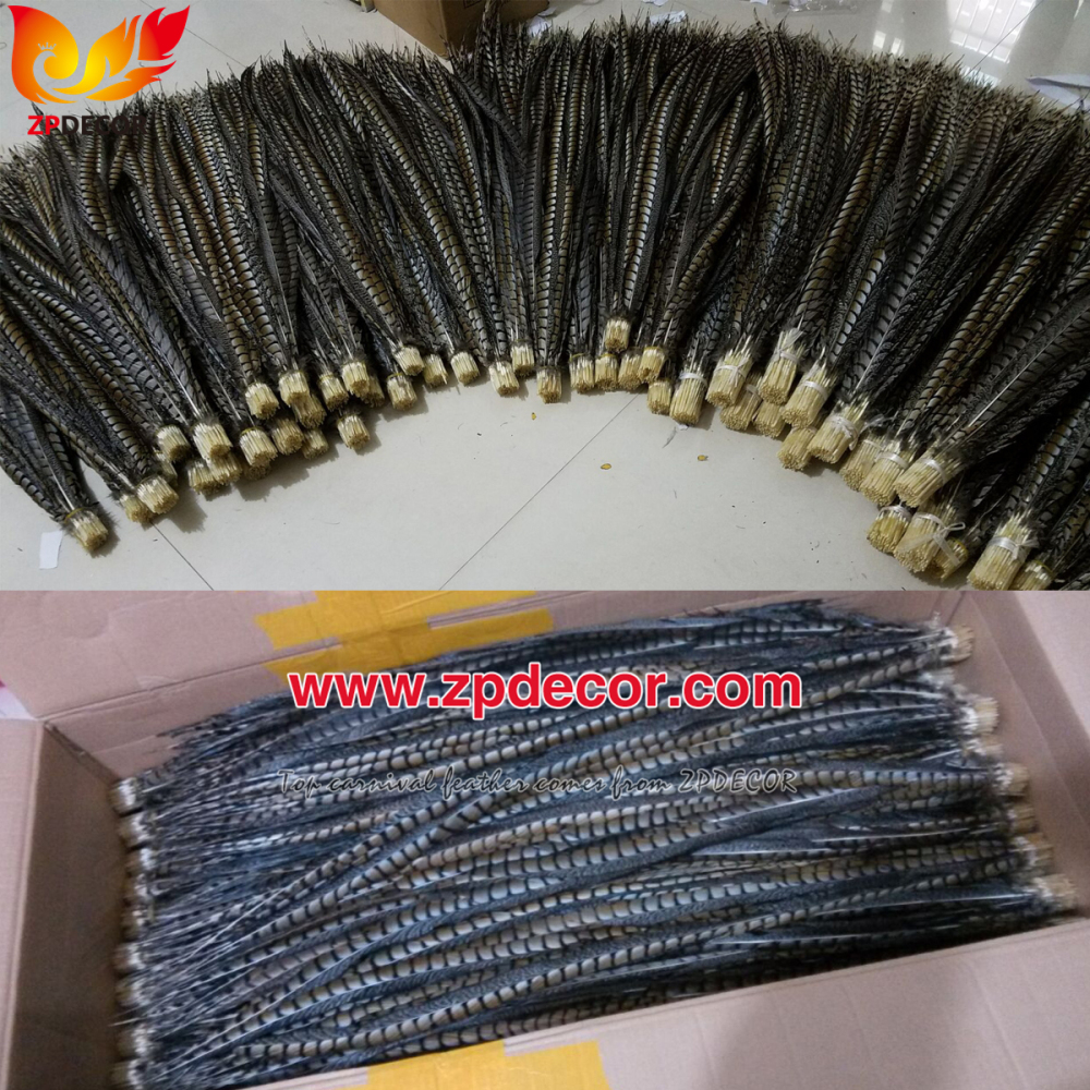 Zpdecor Feathers Factory Wholesale Natural Lady amherst tail pheasant feather
