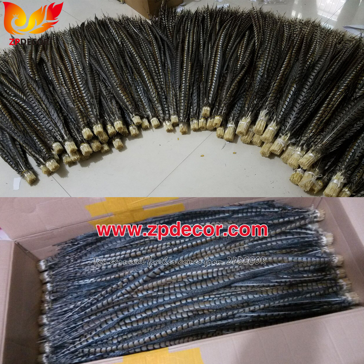 Zpdecor Feathers Factory Wholesale Natural Lady amherst tail pheasant feather
