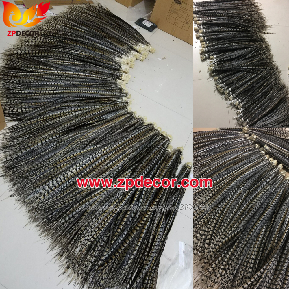 Zpdecor Feathers Factory Wholesale Natural Lady amherst tail pheasant feather