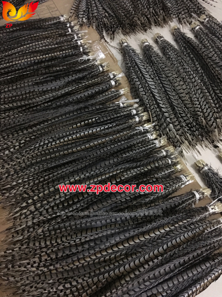 Zpdecor Feathers Factory Wholesale Natural Lady amherst tail pheasant feather