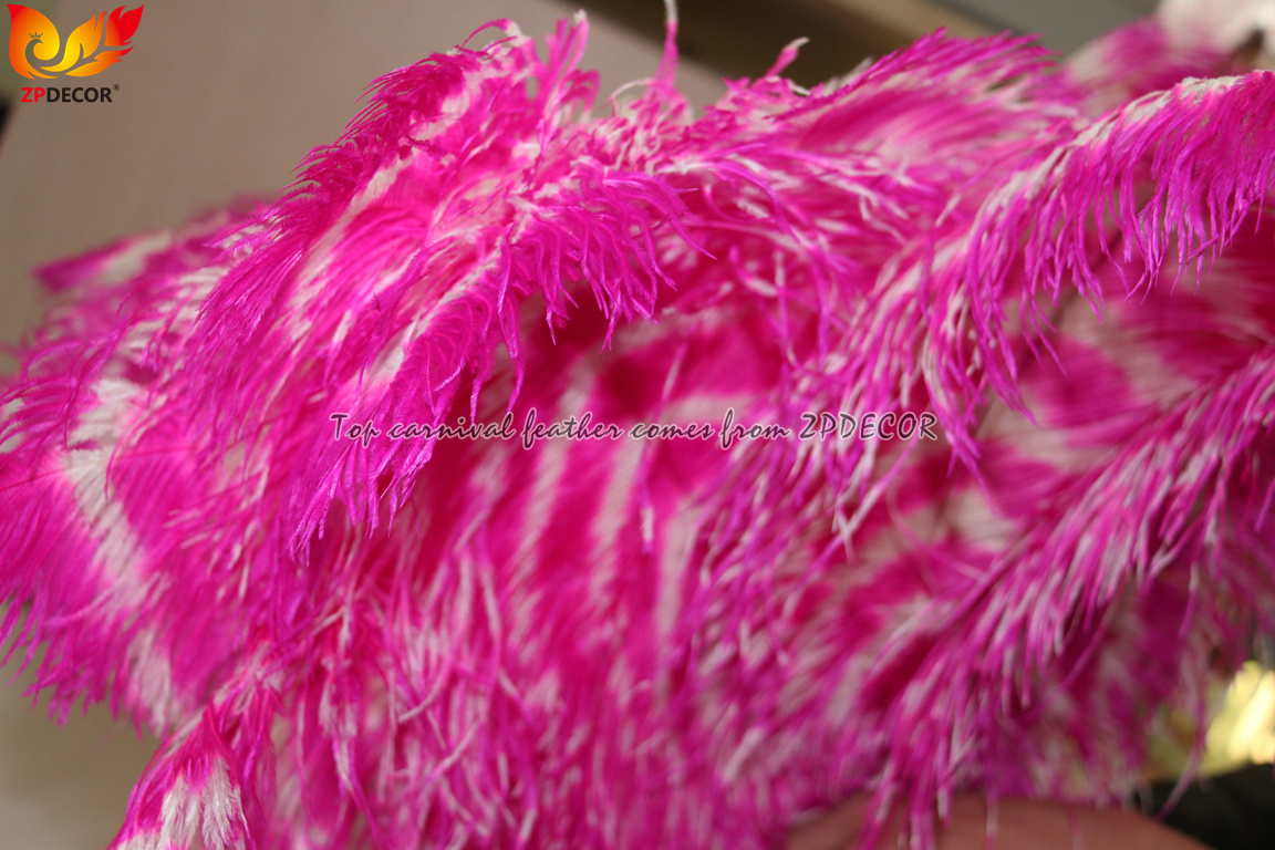 Zpdecor Feathers Wholsale Ostrich Feathers