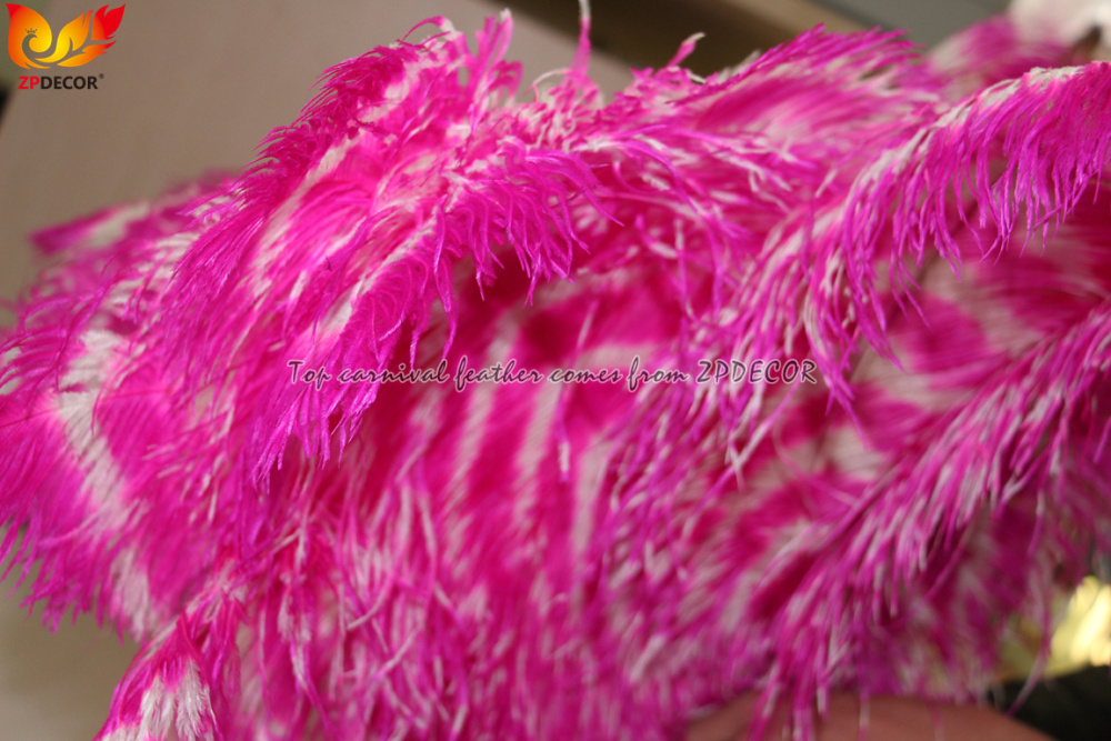 Zpdecor Feathers Wholsale Ostrich Feathers