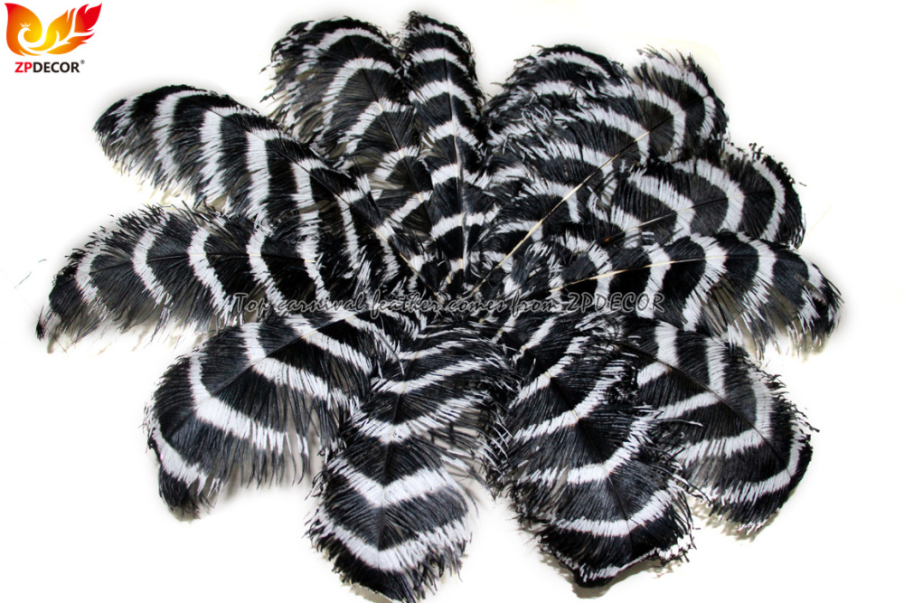 Zpdecor Feathers Wholsale Striped Ostrich Feathers