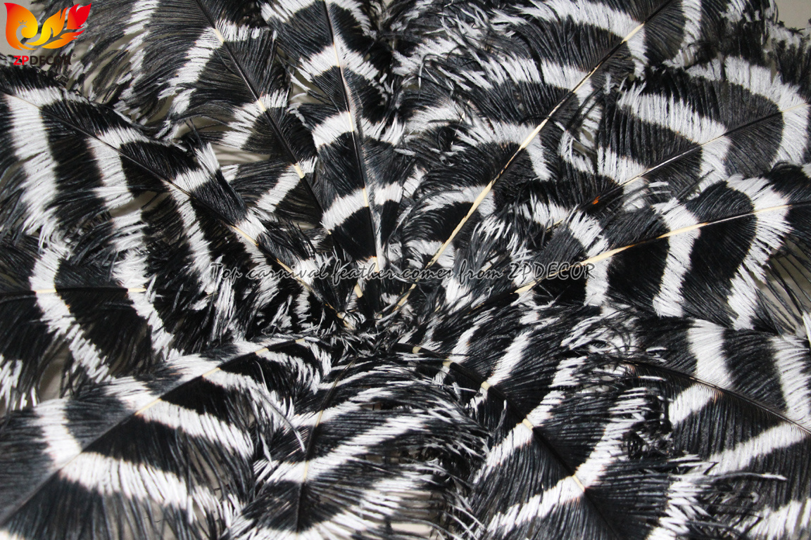 Zpdecor Feathers Wholsale Striped Ostrich Feathers