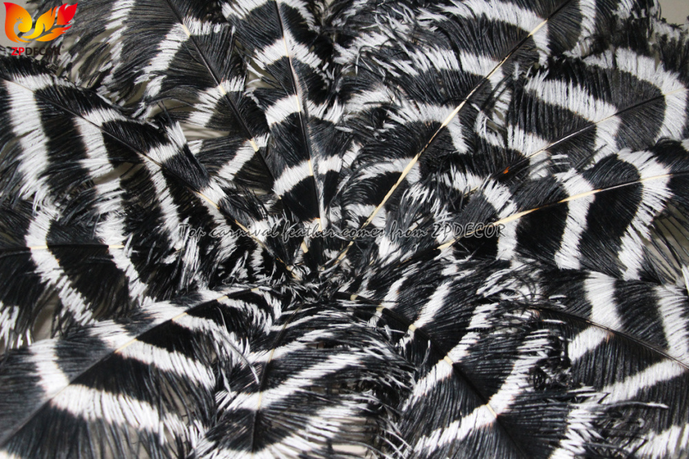 Zpdecor Feathers Wholsale Striped Ostrich Feathers