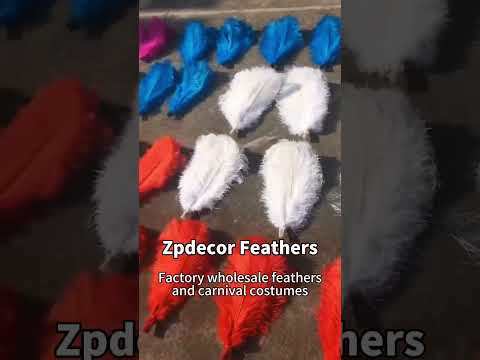 Zpdecor Feathers Factory Wholesale 15-20 cm White and Dyed Ostrich Feathers for Wedding Decoration