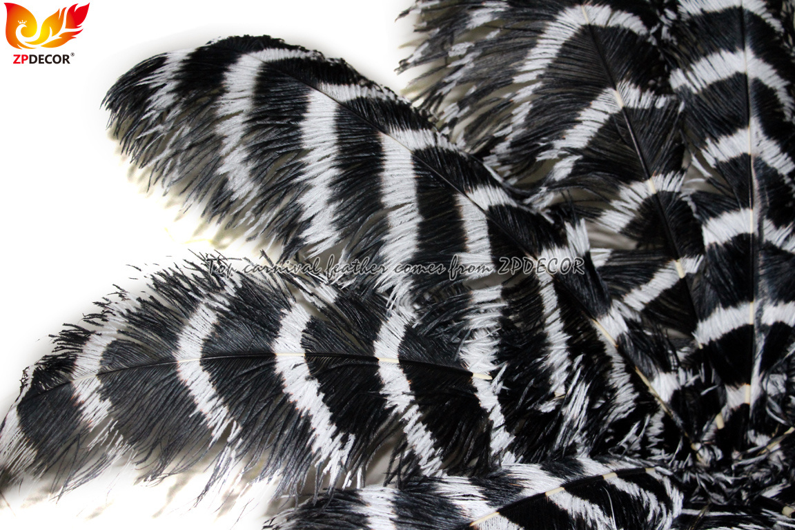 Zpdecor Feathers Wholsale Striped Ostrich Feathers