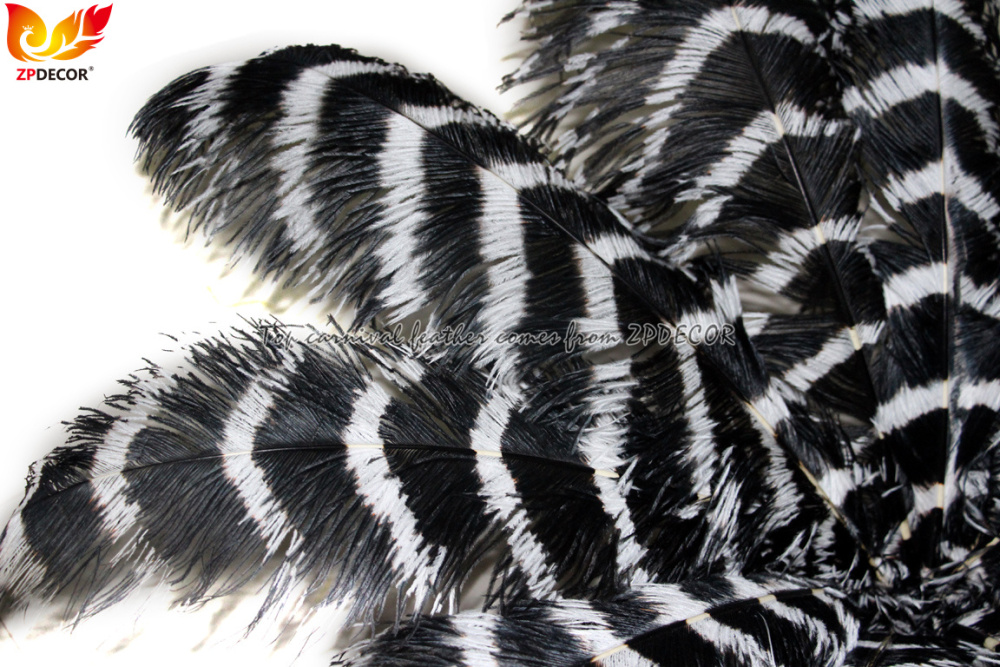 Zpdecor Feathers Wholsale Striped Ostrich Feathers