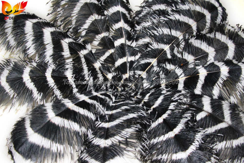 Zpdecor Feathers Wholsale Striped Ostrich Feathers