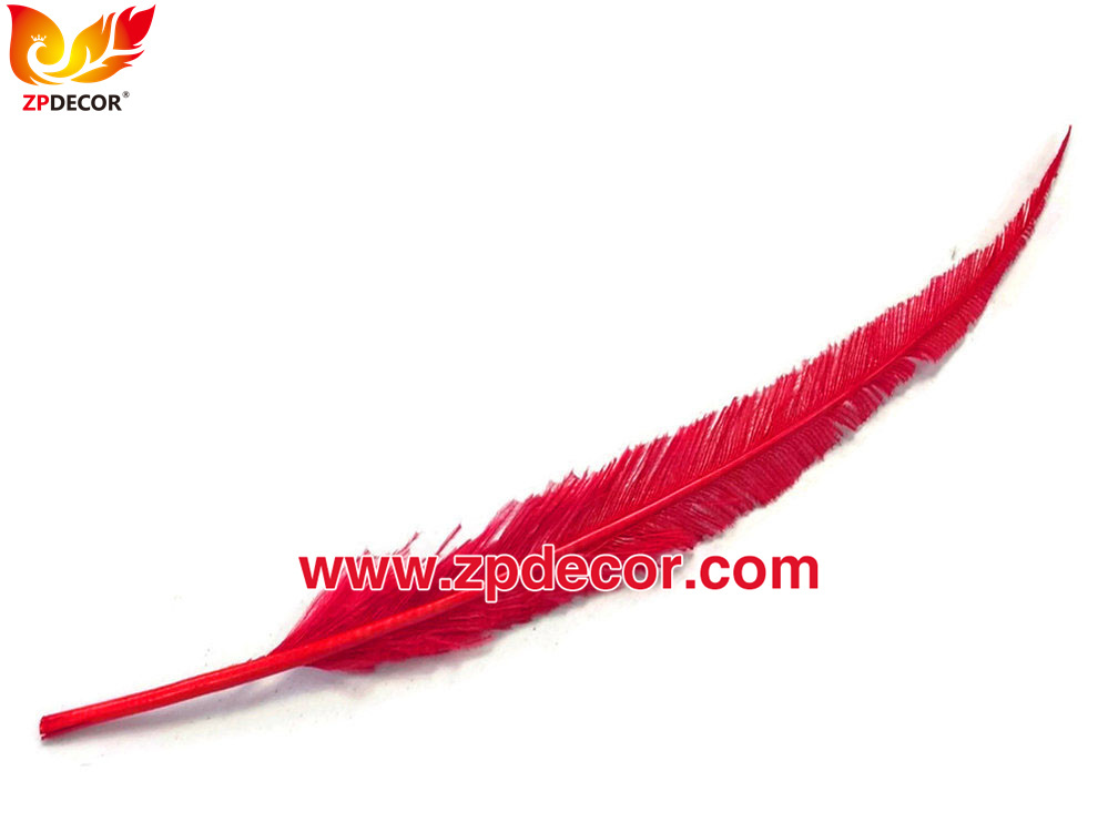Zpdecor Feathers Factory Wholesale Trimmed Red Ostrich Nandu Feathers for Carnival Costumes