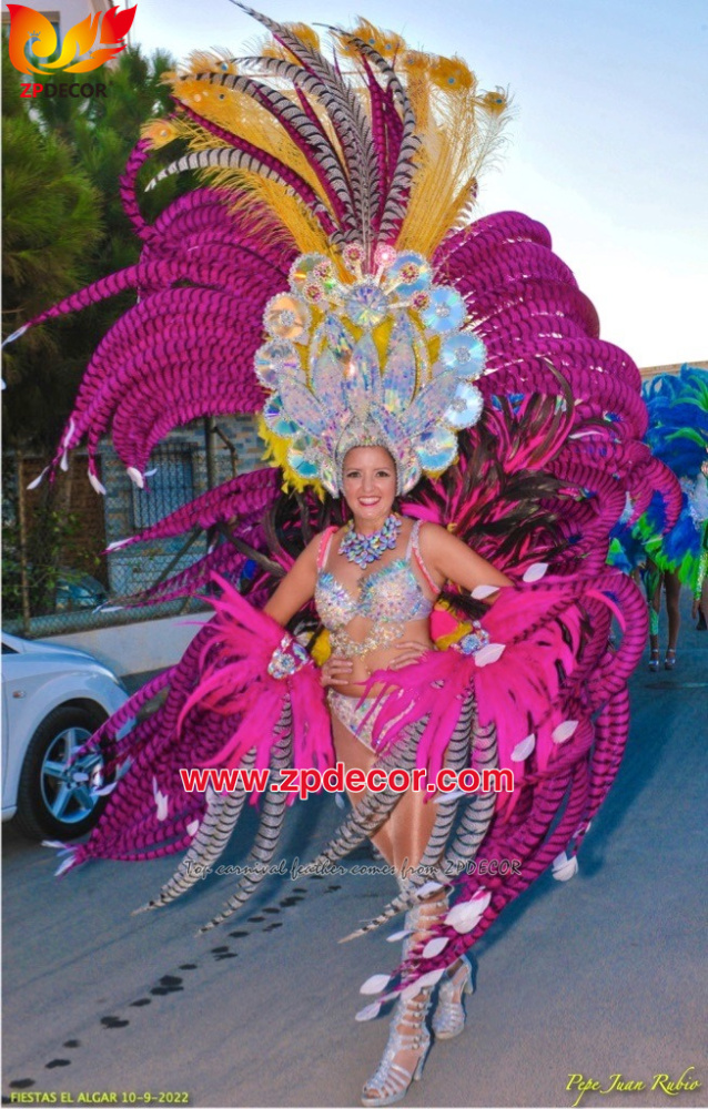 Zpdecor Feathers Factory Wholesale Dyed Hot Pink Lady Amherst Pheasant Zebra Tail Feathers for Carnival Costumes Design