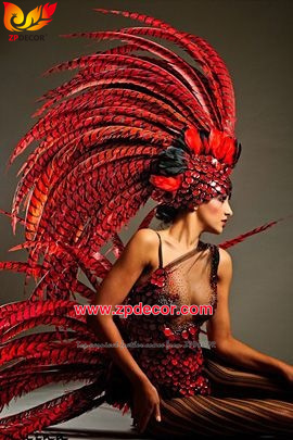 Zpdecor Feathers Factory Wholesale Dyed Red Lady Amherst Pheasant Zebra Tail Feathers for Carnival Costumes Design